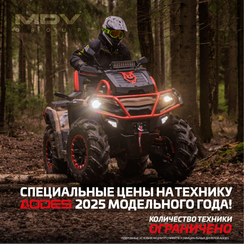 Специальные цены на Aodes 2025 года