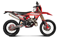 Эндуро PROGASI Race 300 2T